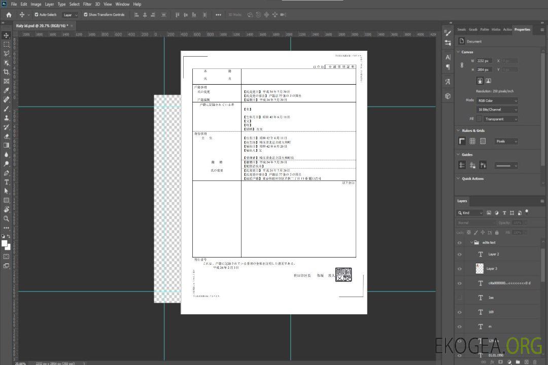 Acte de naissance au Japon (日本の出生証明書) Modèle Word et PDF, entièrement modifiable, version 2 template